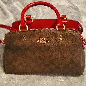 Mini Darcie Carryall In Signature Canvas